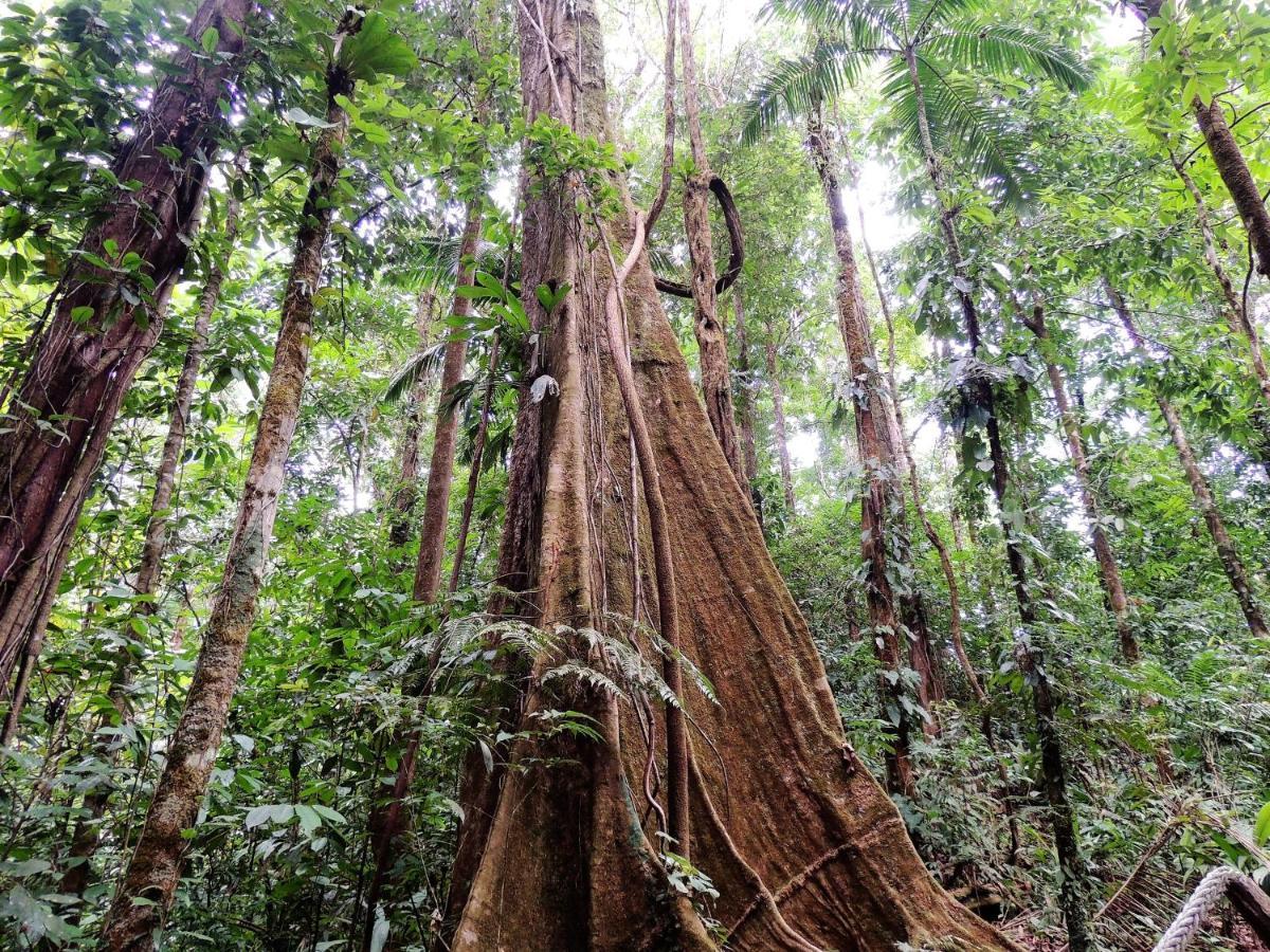 Хостел Corcovado Adventures Драке Экстерьер фото