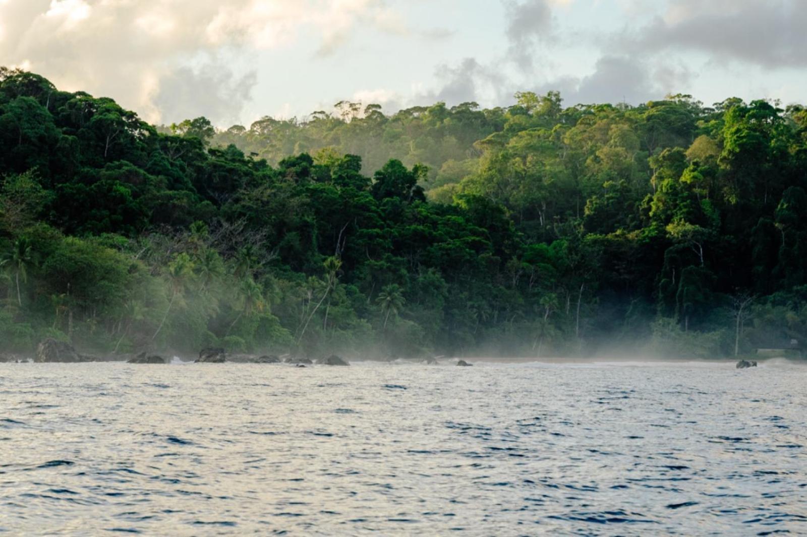 Хостел Corcovado Adventures Драке Экстерьер фото