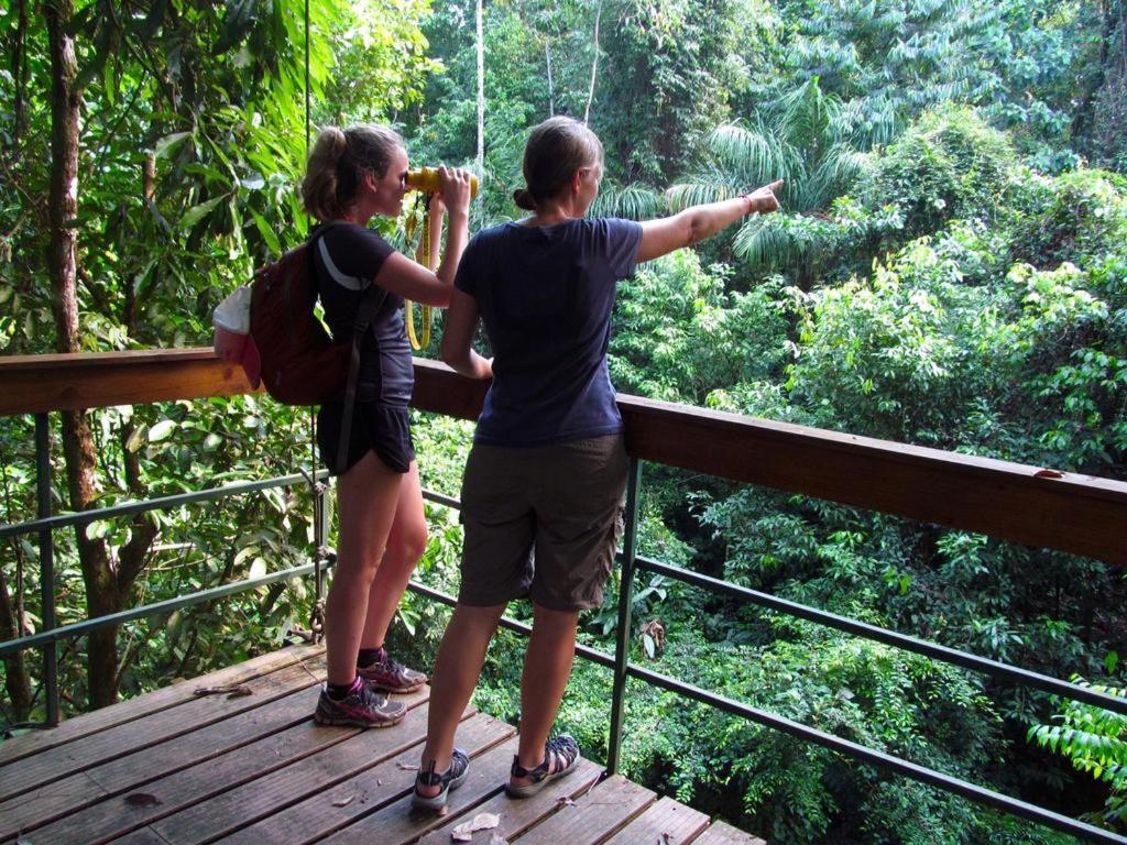 Хостел Corcovado Adventures Драке Экстерьер фото
